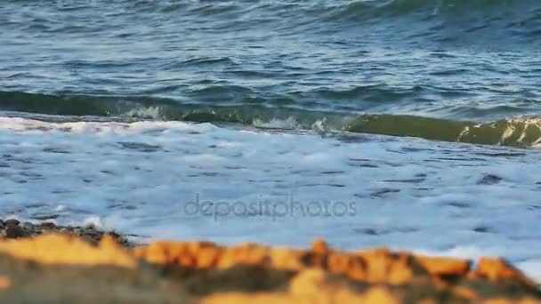 Хвиля на пляжі повільний рух — стокове відео