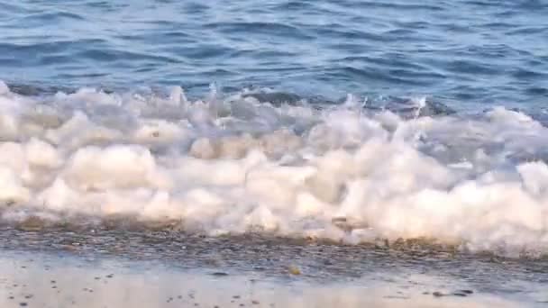 Plaj yavaş dalga — Stok video