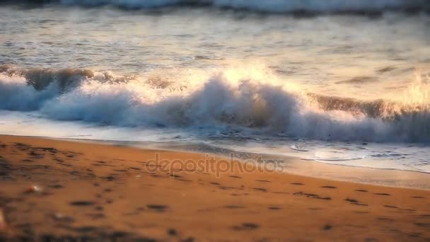 Wave zpomaleně beach — Stock video