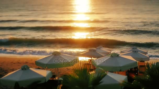 Playa tropical con sombrillas — Vídeo de stock