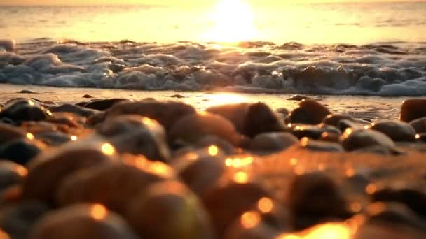 Soluppgång vågrörelse havet slow — Stockvideo