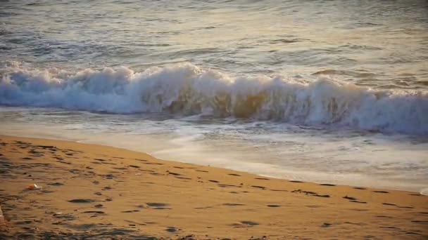 Ola en la playa cámara lenta — Vídeo de stock
