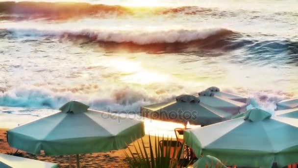 Tropisk strand med parasoller 4k — Stockvideo