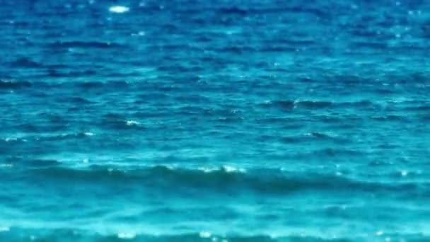 Open sea horizon 4k — Stock Video