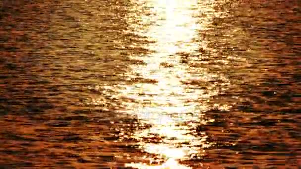 Krásný východ slunce nad mořem 4k — Stock video