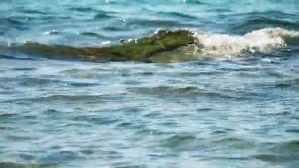 Čisté moře vlna 4k — Stock video
