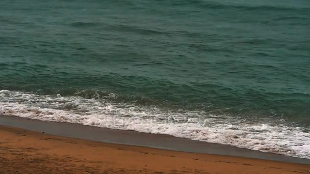 Havet Stranden Slow Vågrörelse — Stockvideo