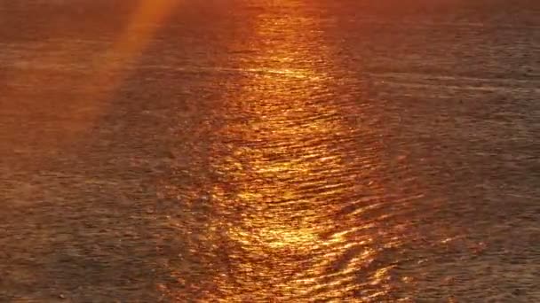 Восход Солнца Море — стоковое видео