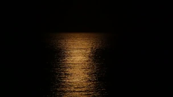Місячне Світло Відображення Воді — стокове відео