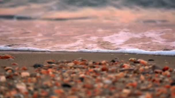 Pláž Moře Wave — Stock video