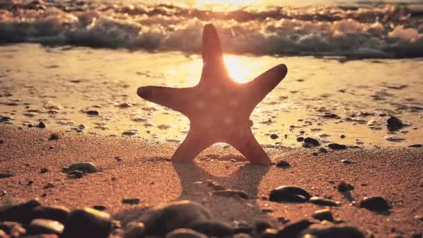 Estrella Mar Playa Puesta Del Sol Mar — Vídeos de Stock