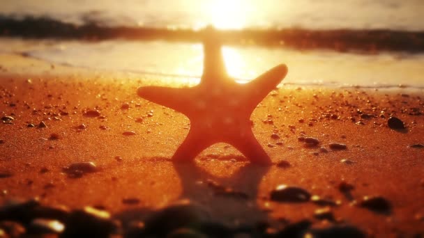 Coucher Soleil Plage Avec Palmiers Contre Ciel Orange