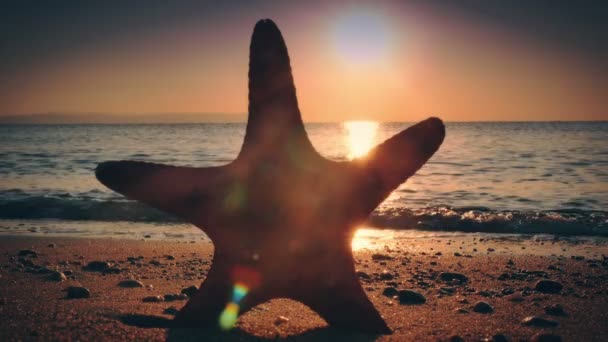 Ηλιοβασίλεμα Στη Θάλασσα Αστερίες — Αρχείο Βίντεο