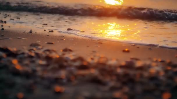 Východ Slunce Nad Mořem — Stock video