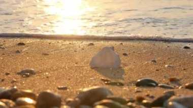 kabukları beach dalga 4k