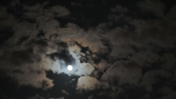 Vollmond Zeitraffer Wolken — Stockvideo