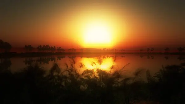 Západ Slunce Nad Oasis Africe — Stock fotografie