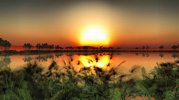 Закат Над Оазисом Африке — стоковое фото