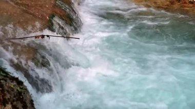 kristal berraklığında akışı yavaş hareket