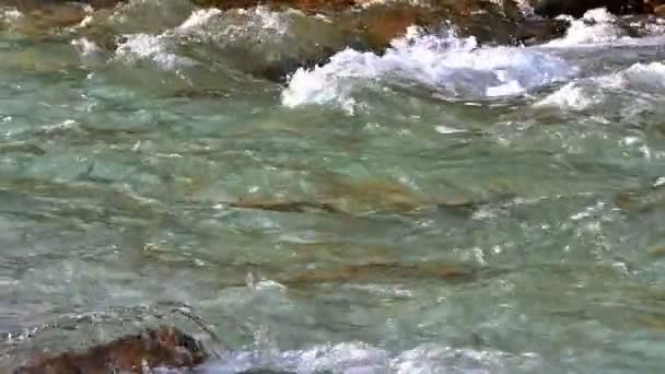 Crystal Clear Stream Slow Motion — Stock Video