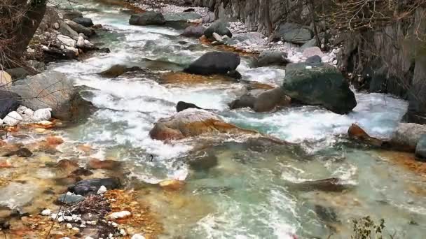 Río Montaña Con Piedras Grandes — Vídeo de stock