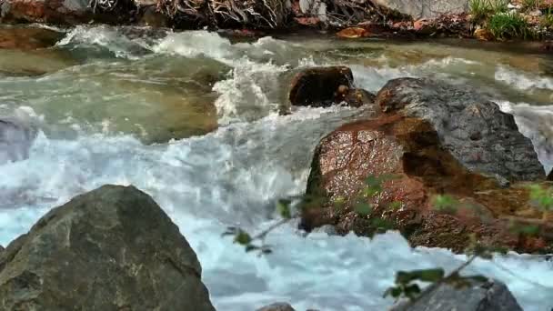 Gebirgsfluss Mit Großen Steinen — Stockvideo