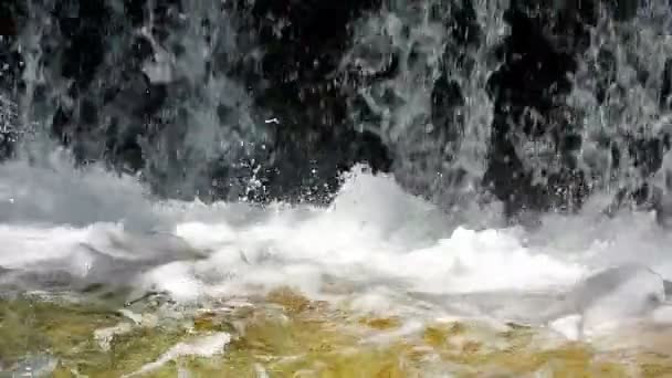 Cachoeira Closeup Câmera Lenta — Vídeo de Stock