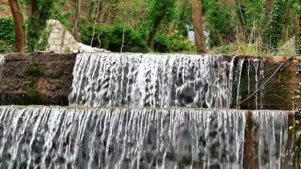 Waterfall Forest Slow Motion — Stock Video