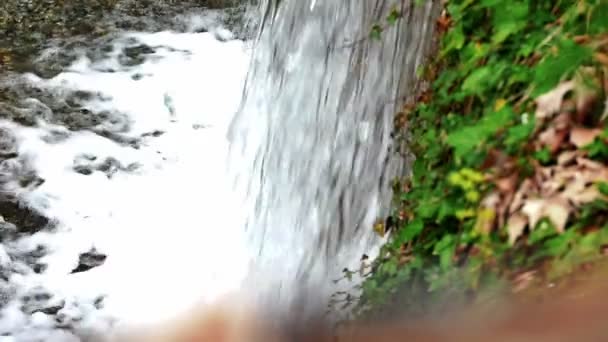 フォレスト スローモーションで滝 — ストック動画