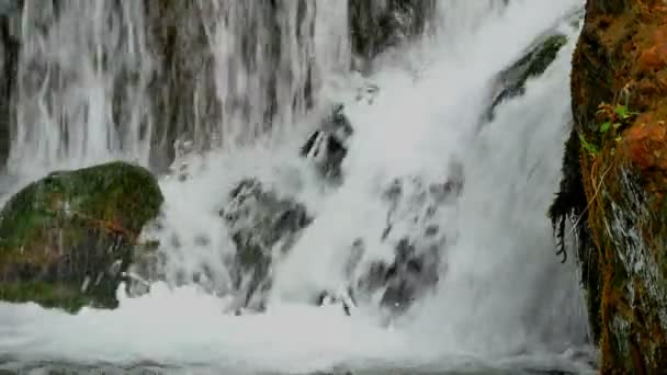 Wasserfall in Waldzeitlupe