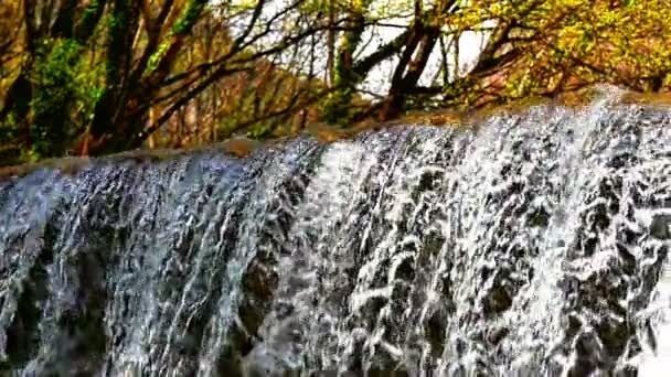 Vattenfall Skogen Slow Motion — Stockvideo