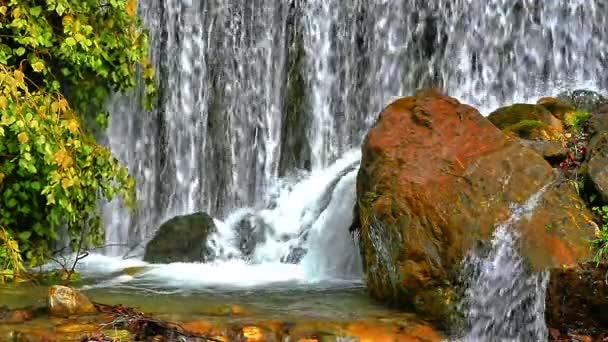 Cascata Nella Foresta Rallentatore — Video Stock