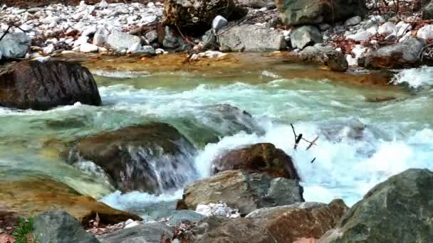 Río Montaña Con Piedras Grandes — Vídeo de stock