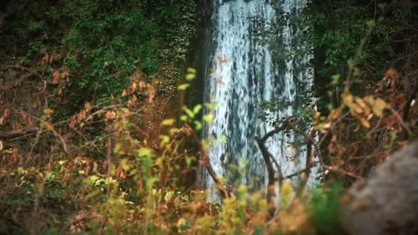 Wasserfall Wald — Stockvideo