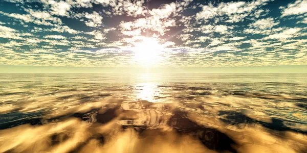 Škeble Mořský Zlatý Západ Slunce — Stock fotografie