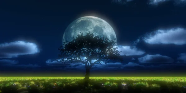 Arbre Nuit Pleine Lune — Photo