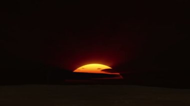 gündoğumu ağaç Afrika 4k