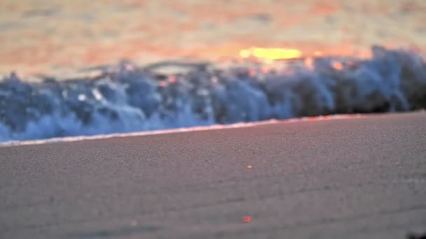 Beach Wave Macro Sunset Slow Motion — Stock Video