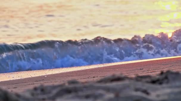 Beach Wave Macro Slow Motion — Stock Video