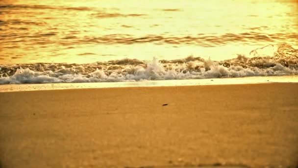 Ola Playa Macro Puesta Sol Cámara Lenta — Vídeo de stock