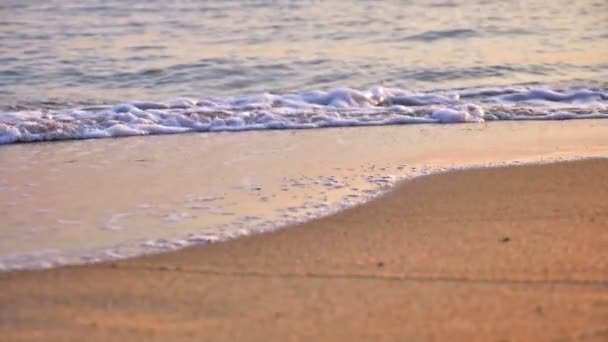 Beach Wave Makró Lassított Felvétel — Stock videók