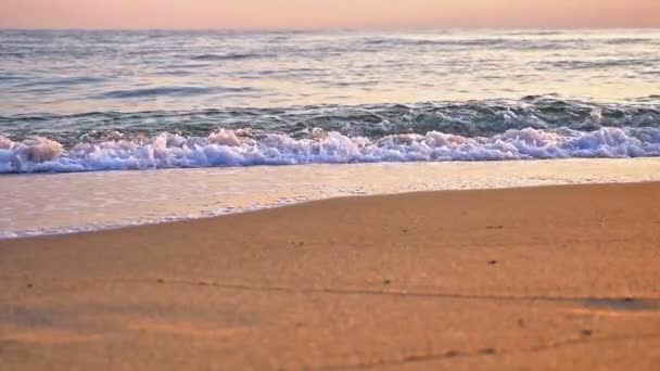 Beach Wave Macro Sunset Slow Motion — Stock Video