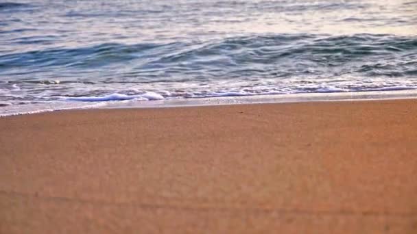 Plaża Fala Makro Zachód Słońca Zwolniony Ruch — Wideo stockowe