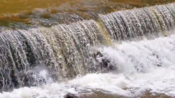 Acqua Del Fiume Cascata Fontana Rallentatore — Video Stock