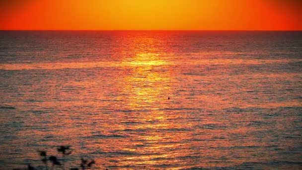 Схід Сонця Золоте Море Повільний Рух — стокове відео