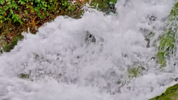 rivière cascade en montagne au ralenti 60fps à 30fps 4k 