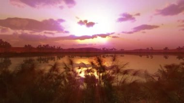 Afrika 'da vahada günbatımı 4k