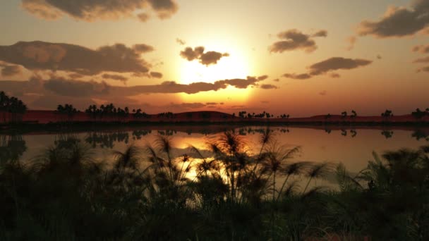 Ηλιοβασίλεμα Πάνω Από Όαση Στην Αφρική — Αρχείο Βίντεο