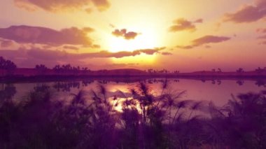 Afrika 'da vahada günbatımı 4k