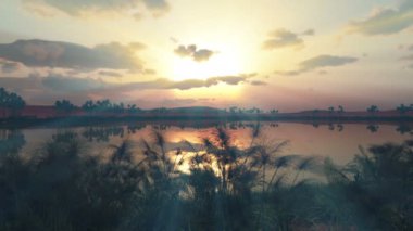 Afrika 'da vahada günbatımı 4k
